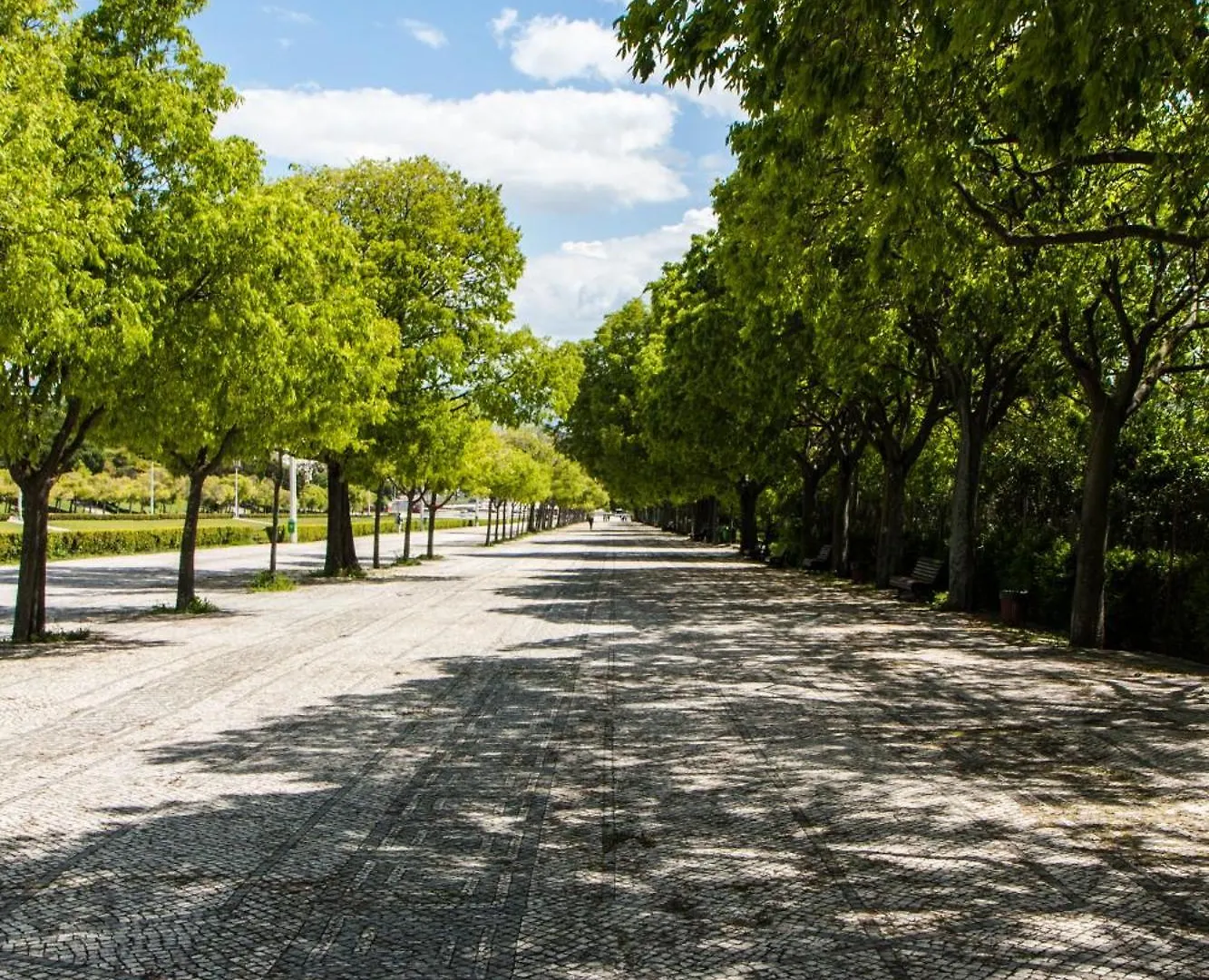 Lisboa Central Park Hotel Suites & Studios